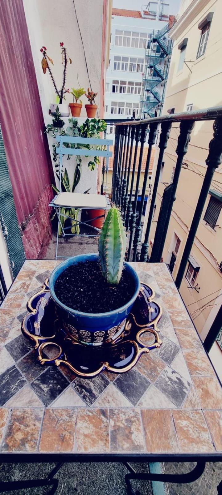 Charming Central Apartment To Rent 리스본 외부 사진